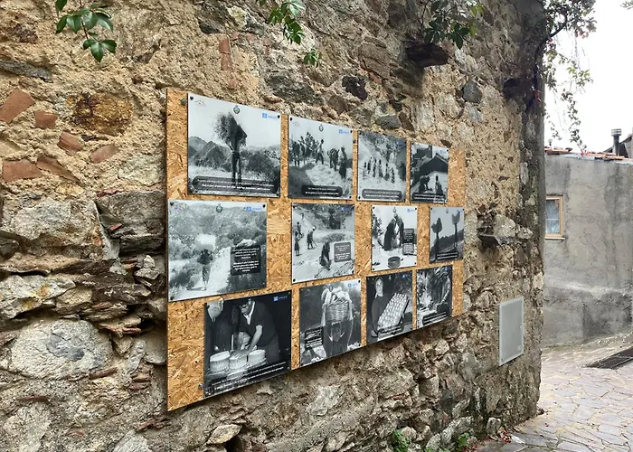 Kalon Eidos, Il Magico Posto Della Calabria Jonica Apartman *